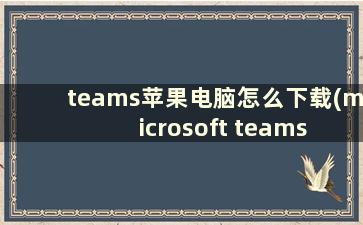 teams苹果电脑怎么下载(microsoft teams 苹果手机怎么用)